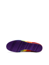 Classic Rainbow