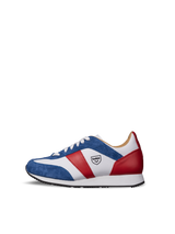 Authentic Tricolor