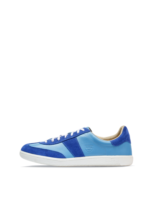 Iconic Blue