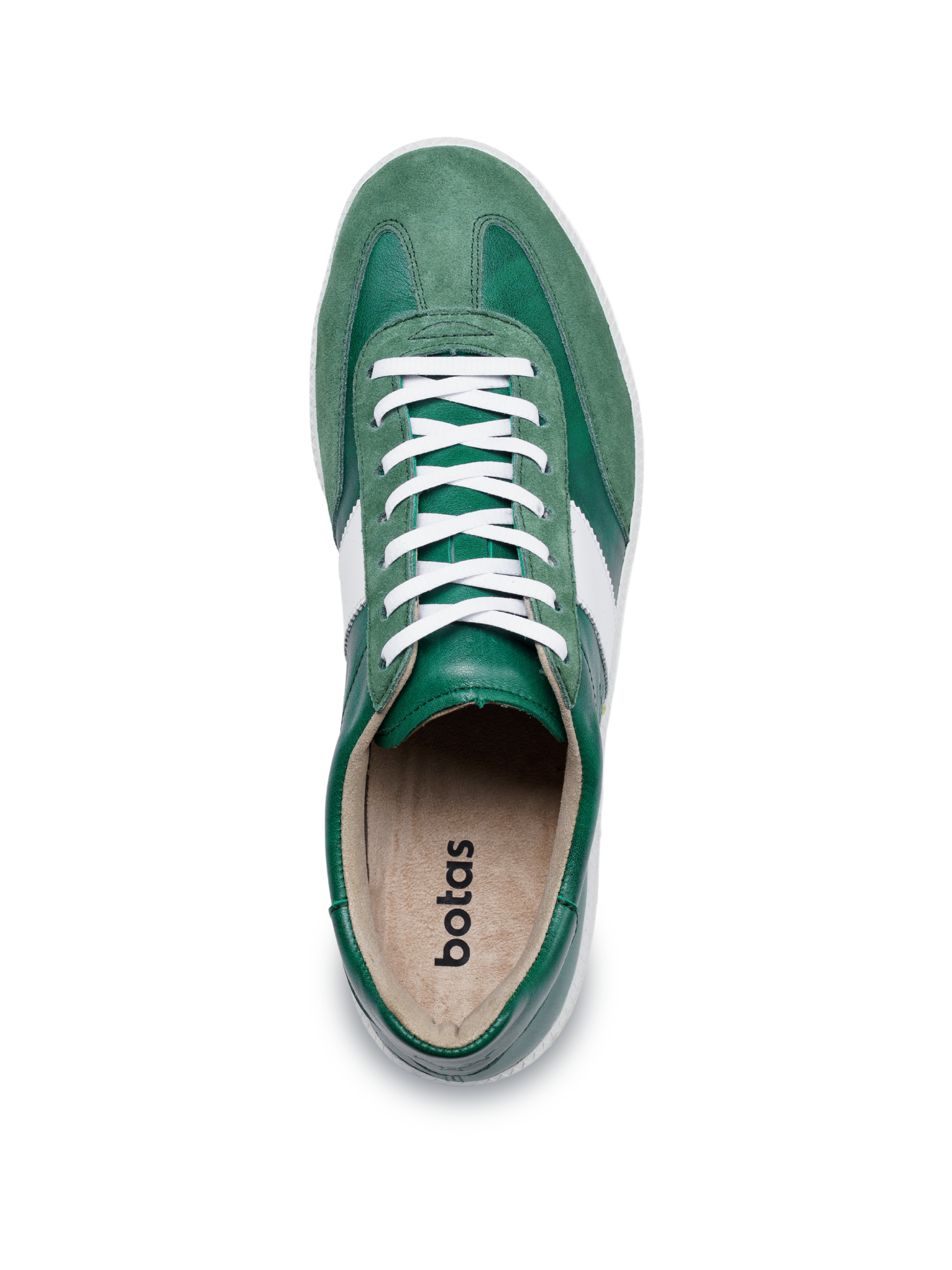 Iconic Art Green September