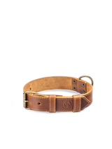 Obojek Brown - 30 mm