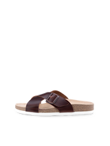 Cork Brown