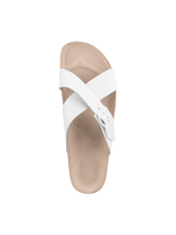Cork White