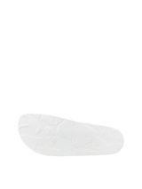 Line White