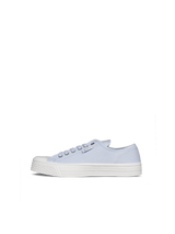 Blue Canvas