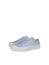 Blue Canvas